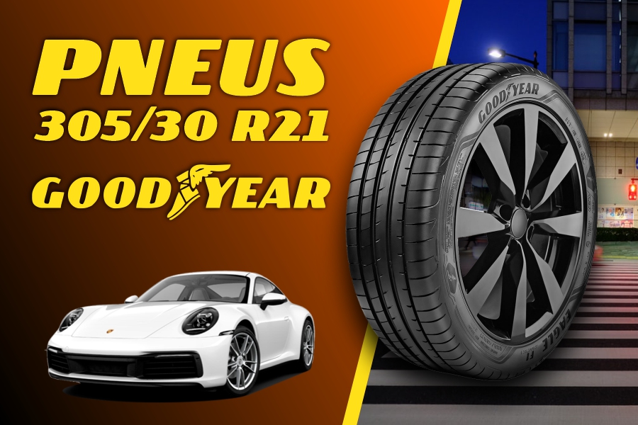 Pneu 305/30 R21 Niterói - Cubango Pneu 305/30 R21 Niterói - Cubango