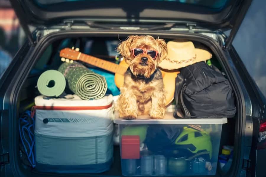 Como o excesso de bagagem pode danificar seu carro: riscos e cuidados essenciais | São Lourenço Pneus | Niterói Como o excesso de bagagem pode danificar seu carro: riscos e cuidados essenciais | São Lourenço Pneus | Niterói